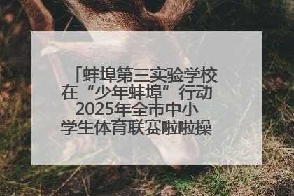 蚌埠第三实验学校在“少年蚌埠”行动2025年全市中小学生体育联赛啦啦操比赛中获佳绩