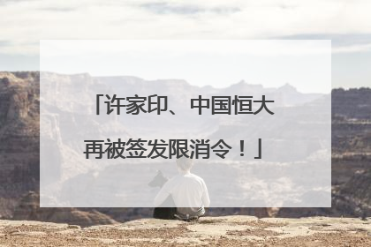 许家印、中国恒大再被签发限消令！