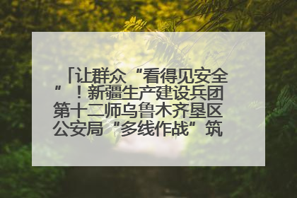让群众“看得见安全”！新疆生产建设兵团第十二师乌鲁木齐垦区公安局“多线作战”筑牢辖区安全防线