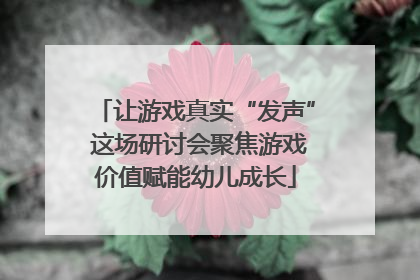 让游戏真实“发声” 这场研讨会聚焦游戏价值赋能幼儿成长