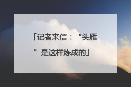 记者来信：“头雁”是这样炼成的
