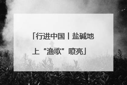 行进中国丨盐碱地上“渔歌”嘹亮