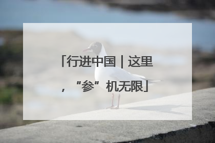 行进中国｜这里，“参”机无限