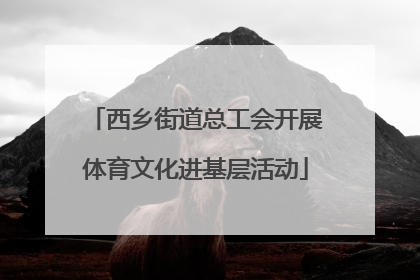 西乡街道总工会开展体育文化进基层活动
