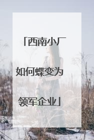 西南小厂如何蝶变为领军企业