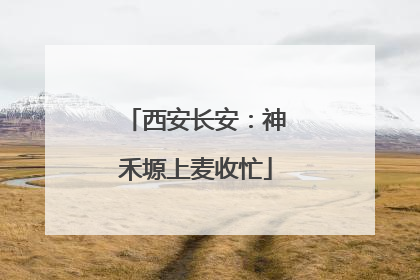 西安长安：神禾塬上麦收忙