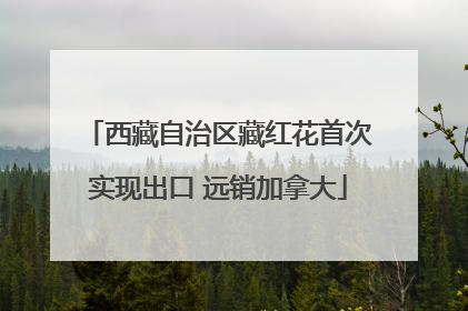 西藏自治区藏红花首次实现出口 远销加拿大