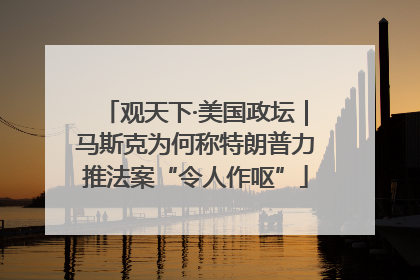 观天下·美国政坛｜马斯克为何称特朗普力推法案“令人作呕”