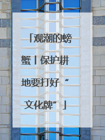 观潮的螃蟹丨保护耕地要打好“文化牌”