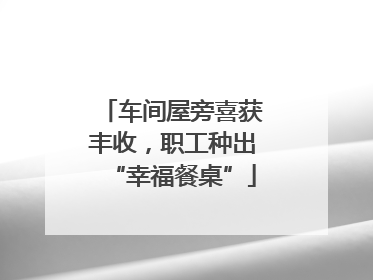车间屋旁喜获丰收，职工种出“幸福餐桌”