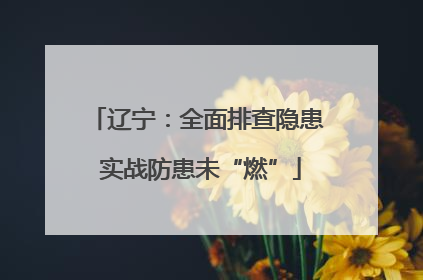 辽宁：全面排查隐患 实战防患未“燃”