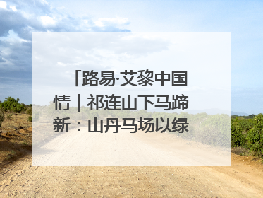 路易·艾黎中国情｜祁连山下马蹄新：山丹马场以绿色发展诠释“两山”理论实践