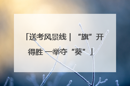 送考风景线｜“旗”开得胜 一举夺“葵”