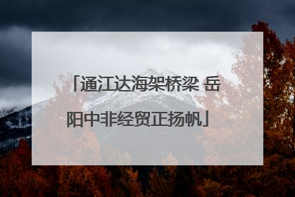 通江达海架桥梁 岳阳中非经贸正扬帆