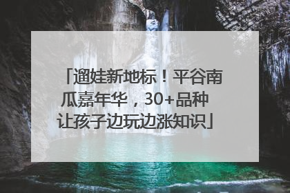 遛娃新地标！平谷南瓜嘉年华，30+品种让孩子边玩边涨知识