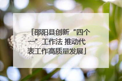 邵阳县创新“四个一”工作法 推动代表工作高质量发展