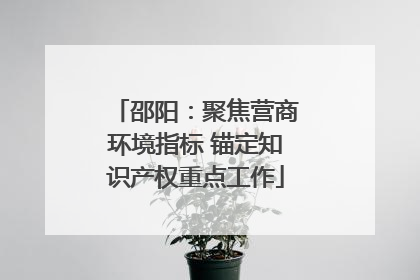 邵阳：聚焦营商环境指标 锚定知识产权重点工作