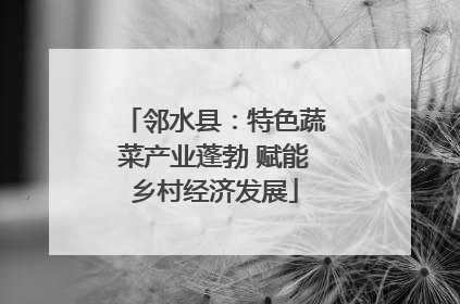 邻水县：特色蔬菜产业蓬勃 赋能乡村经济发展
