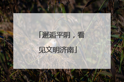 邂逅平阴，看见文明济南