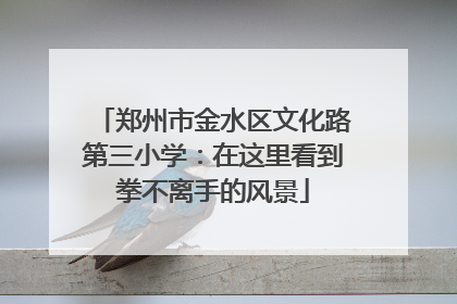 郑州市金水区文化路第三小学：在这里看到拳不离手的风景