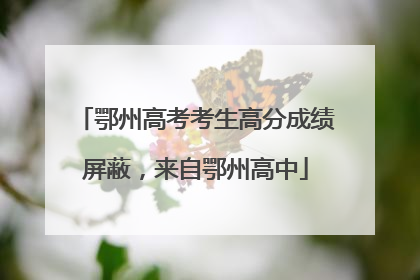 鄂州高考考生高分成绩屏蔽，来自鄂州高中