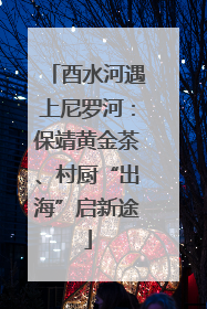 酉水河遇上尼罗河：保靖黄金茶、村厨“出海”启新途