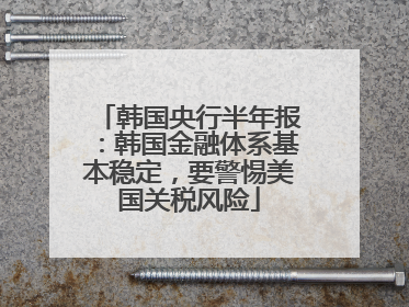韩国央行半年报：韩国金融体系基本稳定，要警惕美国关税风险