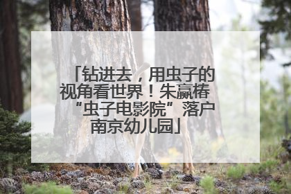 钻进去，用虫子的视角看世界！朱赢椿“虫子电影院”落户南京幼儿园