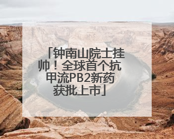 钟南山院士挂帅！全球首个抗甲流PB2新药获批上市