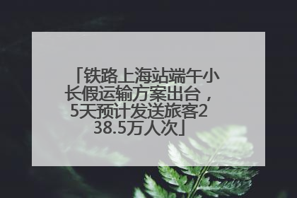 铁路上海站端午小长假运输方案出台，5天预计发送旅客238.5万人次