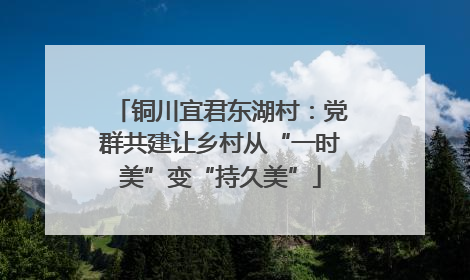 铜川宜君东湖村：党群共建让乡村从“一时美”变“持久美”