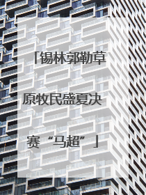 锡林郭勒草原牧民盛夏决赛“马超”