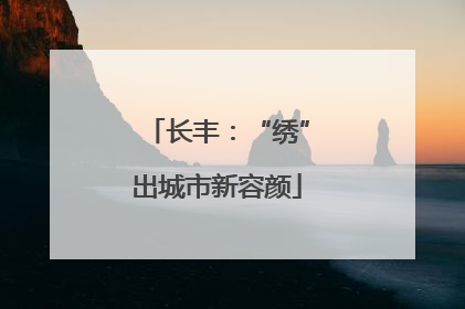 长丰：“绣”出城市新容颜