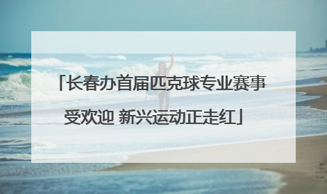 长春办首届匹克球专业赛事受欢迎 新兴运动正走红
