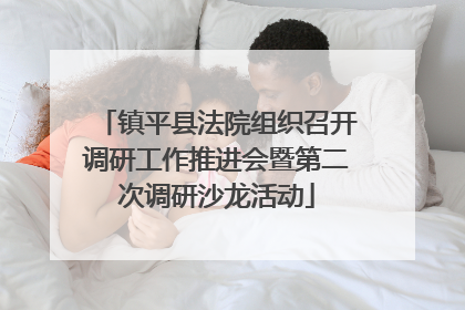 镇平县法院组织召开调研工作推进会暨第二次调研沙龙活动
