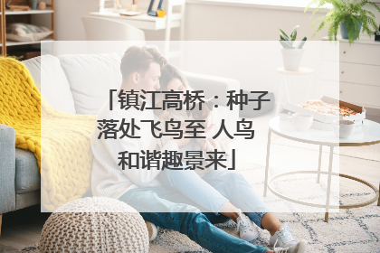 镇江高桥：种子落处飞鸟至 人鸟和谐趣景来