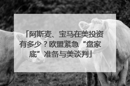 阿斯麦、宝马在美投资有多少？欧盟紧急“盘家底”准备与美谈判