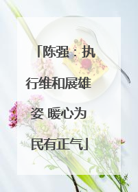 陈强：执行维和展雄姿 暖心为民有正气