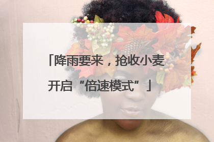 降雨要来，抢收小麦开启“倍速模式”
