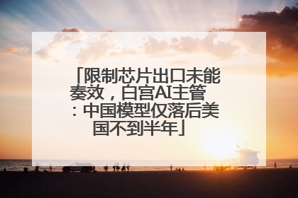 限制芯片出口未能奏效，白宫AI主管：中国模型仅落后美国不到半年