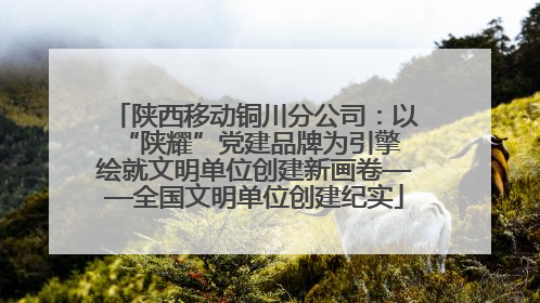 陕西移动铜川分公司：以“陕耀”党建品牌为引擎 绘就文明单位创建新画卷——全国文明单位创建纪实