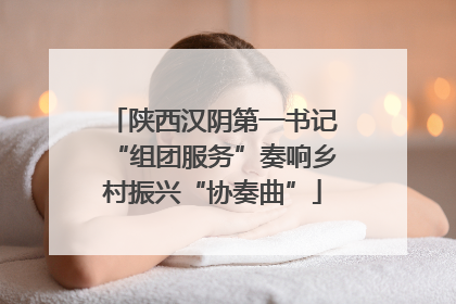 陕西汉阴第一书记“组团服务”奏响乡村振兴“协奏曲”