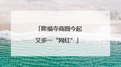 隆福寺商圈今起又多一“网红”