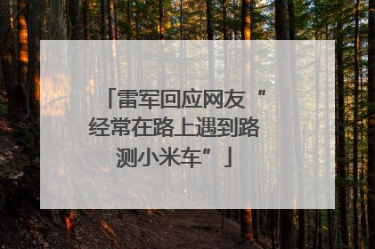 雷军回应网友“经常在路上遇到路测小米车”