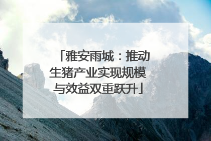 雅安雨城：推动生猪产业实现规模与效益双重跃升