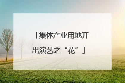 集体产业用地开出演艺之“花”