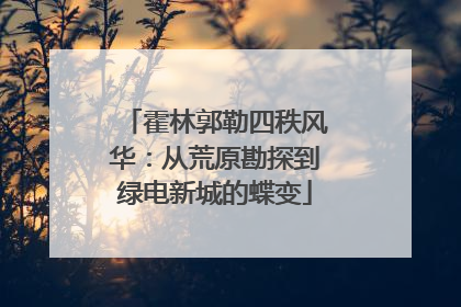 霍林郭勒四秩风华：从荒原勘探到绿电新城的蝶变