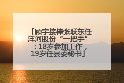 顾宇接棒张联东任洋河股份“一把手”：18岁参加工作，19岁任县委秘书