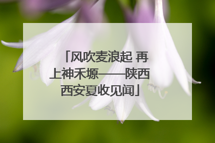 风吹麦浪起 再上神禾塬——陕西西安夏收见闻