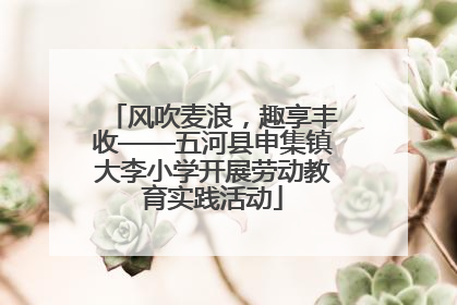 风吹麦浪，趣享丰收——五河县申集镇大李小学开展劳动教育实践活动